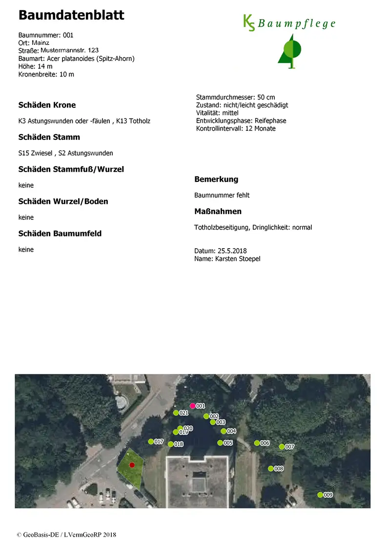 Muster eines Baumdatenblattes nach Baumkontrolle